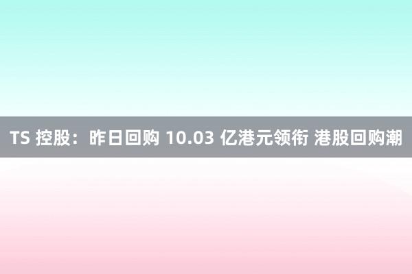 TS 控股：昨日回购 10.03 亿港元领衔 港股回购潮