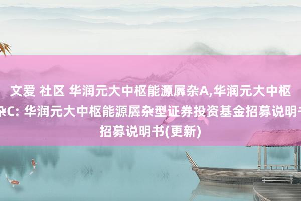 文爱 社区 华润元大中枢能源羼杂A,华润元大中枢能源羼杂C: 华润元大中枢能源羼杂型证券投资基金招募说明书(更新)