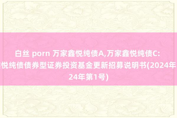 白丝 porn 万家鑫悦纯债A,万家鑫悦纯债C: 万家鑫悦纯债债券型证券投资基金更新招募说明书(2024年第1号)