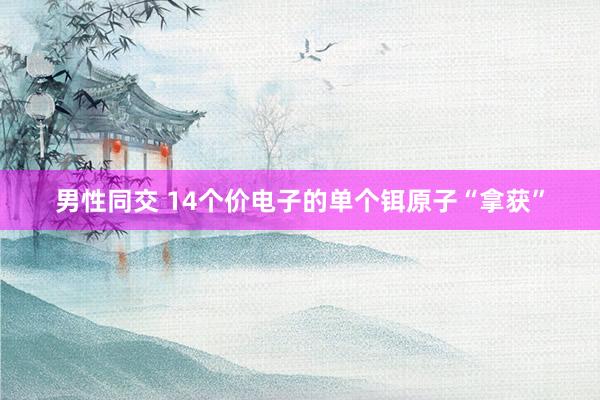 男性同交 14个价电子的单个铒原子“拿获”
