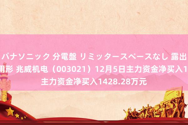 パナソニック 分電盤 リミッタースペースなし 露出・半埋込両用形 兆威机电（003021）12月5日主力资金净买入1428.28万元