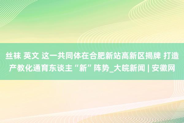 丝袜 英文 这一共同体在合肥新站高新区揭牌 打造产教化通育东谈主“新”阵势_大皖新闻 | 安徽网