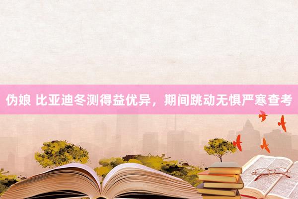 伪娘 比亚迪冬测得益优异，期间跳动无惧严寒查考