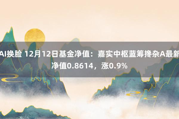 AI换脸 12月12日基金净值：嘉实中枢蓝筹搀杂A最新净值0.8614，涨0.9%