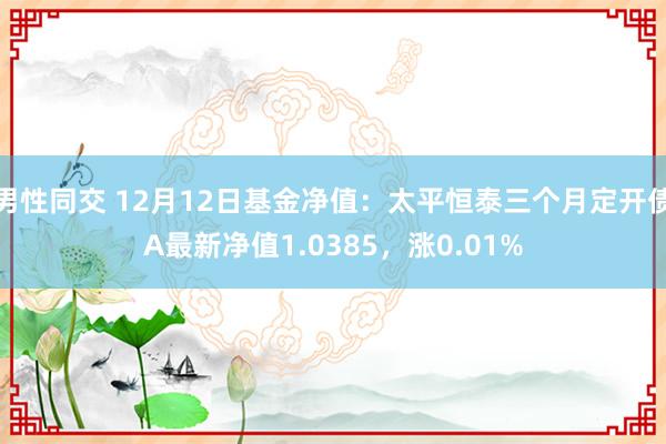 男性同交 12月12日基金净值：太平恒泰三个月定开债A最新净值1.0385，涨0.01%