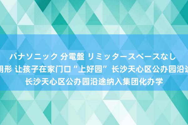 パナソニック 分電盤 リミッタースペースなし 露出・半埋込両用形 让孩子在家门口“上好园” 长沙天心区公办园沿途纳入集团化办学