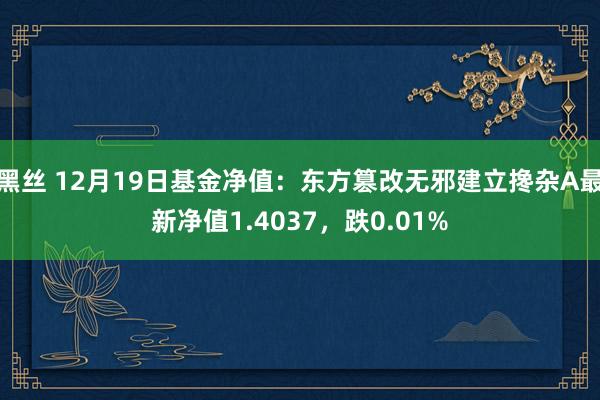 黑丝 12月19日基金净值：东方篡改无邪建立搀杂A最新净值1.4037，跌0.01%
