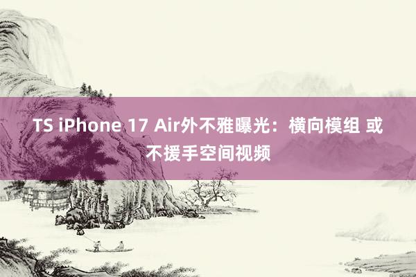 TS iPhone 17 Air外不雅曝光：横向模组 或不援手空间视频