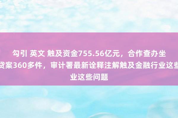 勾引 英文 触及资金755.56亿元，合作查办坐法放贷案360多件，审计署最新诠释注解触及金融行业这些问题