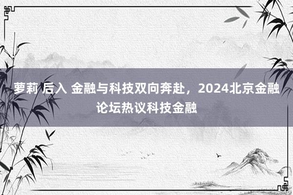 萝莉 后入 金融与科技双向奔赴，2024北京金融论坛热议科技金融