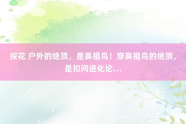 探花 户外的绝顶，是鼻祖鸟！穿鼻祖鸟的绝顶，是扣问进化论…