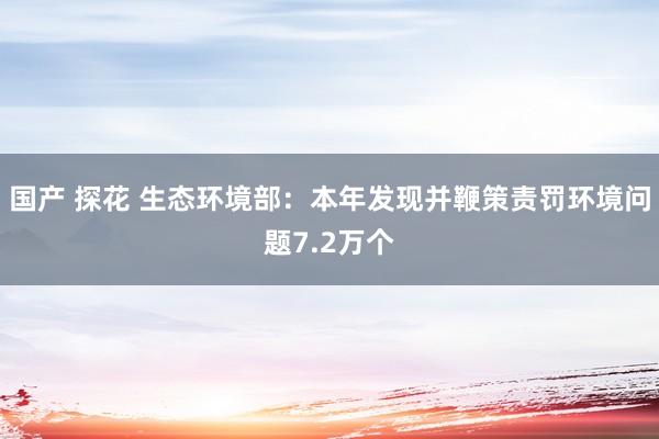 国产 探花 生态环境部：本年发现并鞭策责罚环境问题7.2万个