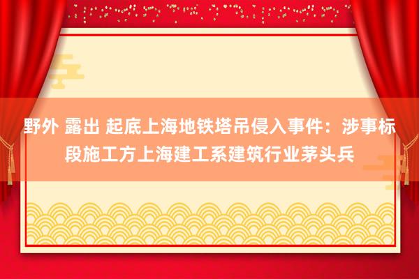 野外 露出 起底上海地铁塔吊侵入事件：涉事标段施工方上海建工系建筑行业茅头兵