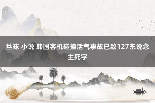丝袜 小说 韩国客机碰撞活气事故已致127东说念主死字