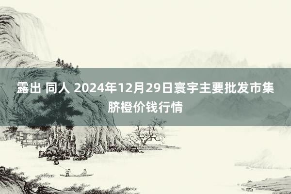 露出 同人 2024年12月29日寰宇主要批发市集脐橙价钱行情
