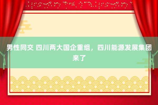 男性同交 四川两大国企重组，四川能源发展集团来了