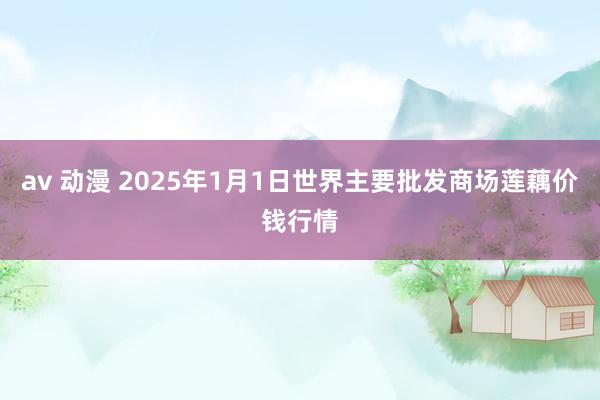 av 动漫 2025年1月1日世界主要批发商场莲藕价钱行情