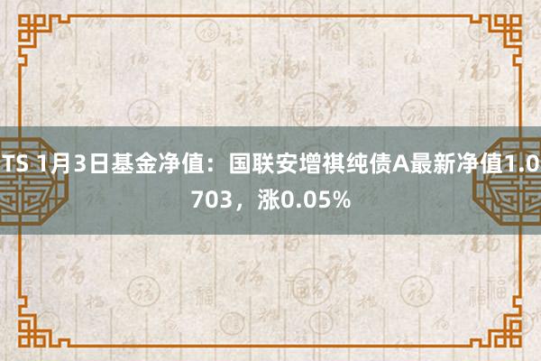 TS 1月3日基金净值：国联安增祺纯债A最新净值1.0703，涨0.05%