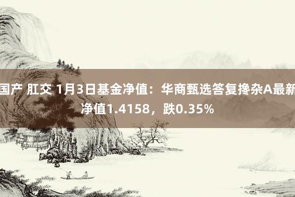 国产 肛交 1月3日基金净值：华商甄选答复搀杂A最新净值1.4158，跌0.35%