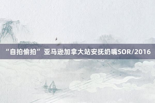“自拍偷拍” 亚马逊加拿大站安抚奶嘴SOR/2016