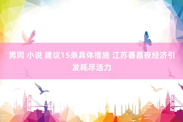 男同 小说 建议15条具体措施 江苏蕃昌夜经济引发耗尽活力