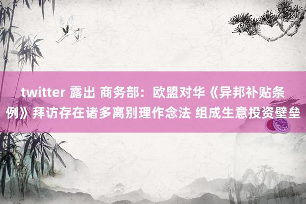 twitter 露出 商务部：欧盟对华《异邦补贴条例》拜访存在诸多离别理作念法 组成生意投资壁垒