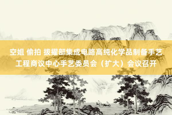 空姐 偷拍 拔擢部集成电路高纯化学品制备手艺工程商议中心手艺委员会（扩大）会议召开