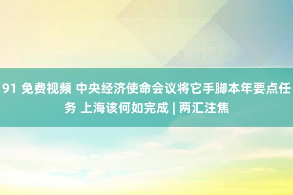 91 免费视频 中央经济使命会议将它手脚本年要点任务 上海该何如完成 | 两汇注焦