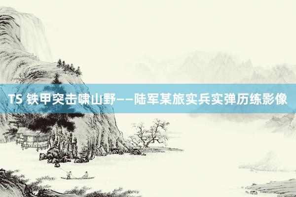 TS 铁甲突击啸山野——陆军某旅实兵实弹历练影像