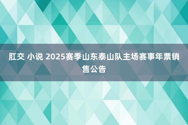 肛交 小说 2025赛季山东泰山队主场赛事年票销售公告