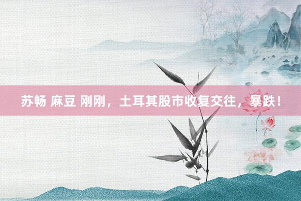 苏畅 麻豆 刚刚，土耳其股市收复交往，暴跌！