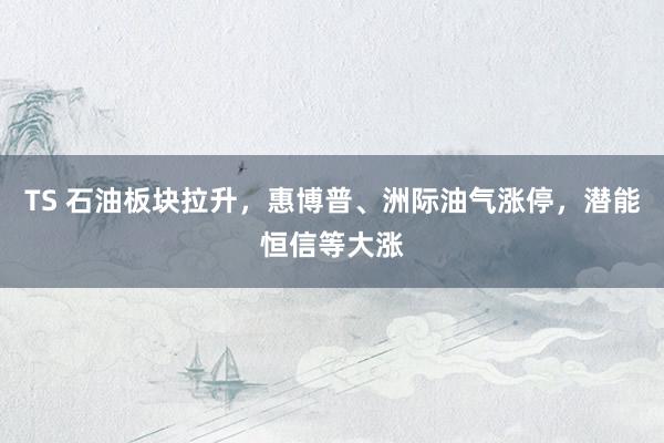 TS 石油板块拉升，惠博普、洲际油气涨停，潜能恒信等大涨