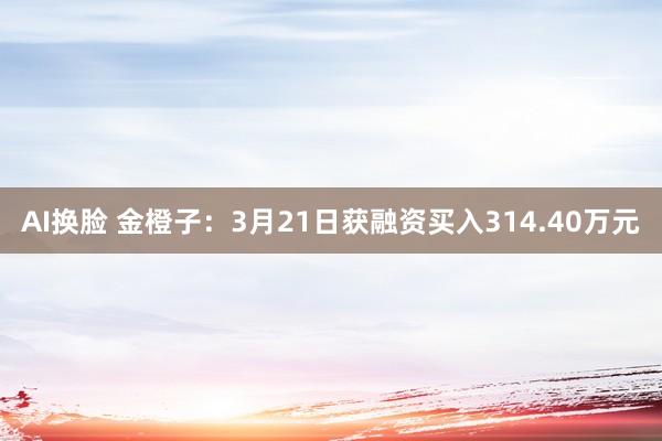 AI换脸 金橙子：3月21日获融资买入314.40万元