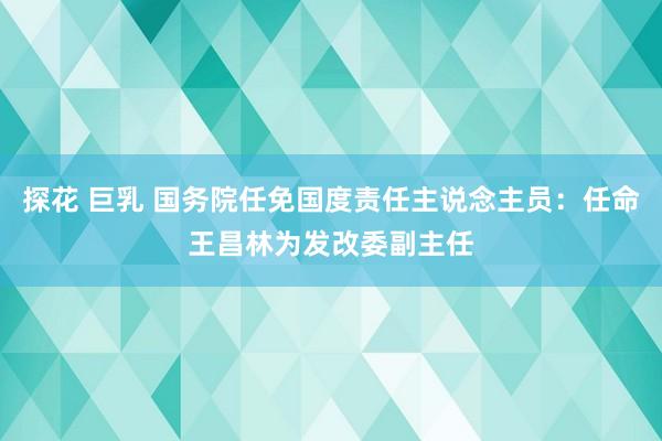 探花 巨乳 国务院任免国度责任主说念主员：任命王昌林为发改委副主任