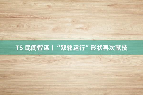 TS 民间智谋丨“双轮运行”形状再次献技