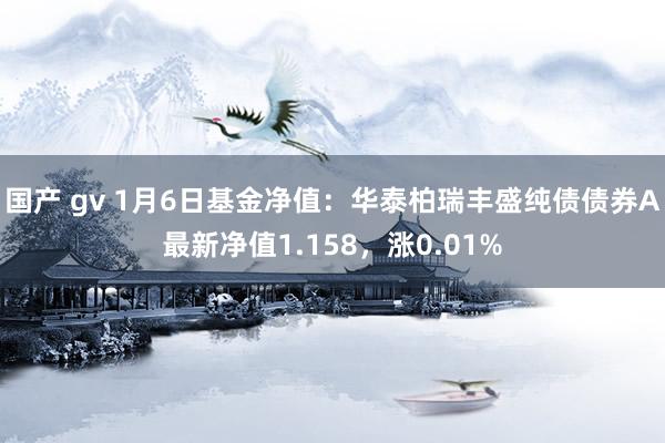 国产 gv 1月6日基金净值：华泰柏瑞丰盛纯债债券A最新净值1.158，涨0.01%