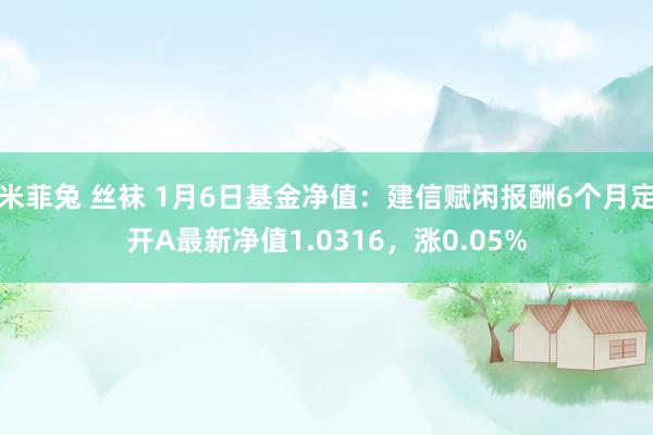 米菲兔 丝袜 1月6日基金净值：建信赋闲报酬6个月定开A最新净值1.0316，涨0.05%