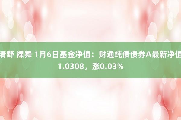 清野 裸舞 1月6日基金净值：财通纯债债券A最新净值1.0308，涨0.03%