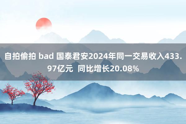 自拍偷拍 bad 国泰君安2024年同一交易收入433.97亿元  同比增长20.08%