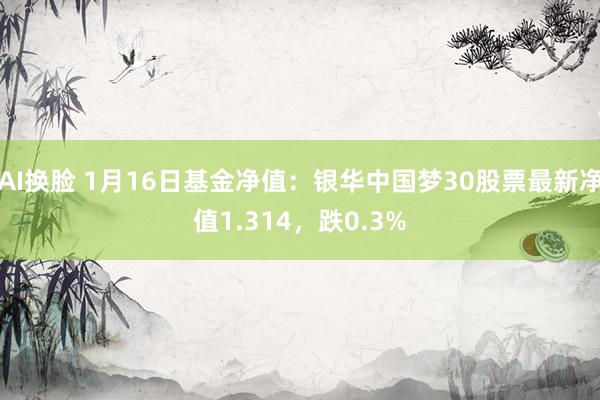 AI换脸 1月16日基金净值：银华中国梦30股票最新净值1.314，跌0.3%