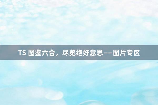 TS 图鉴六合，尽览绝好意思——图片专区